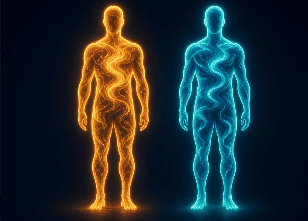 Two silhouettes made of light with the same outline but different inner colors, representing genetic versus personal identity in human cloning